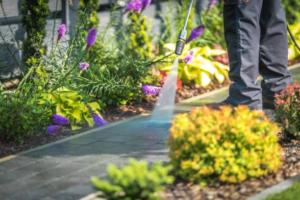 Best Fence Cleaning  in Brookfield, NJ